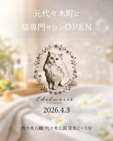 【 代々木八幡 / 代々木公園 】猫専門のシャンプーサ