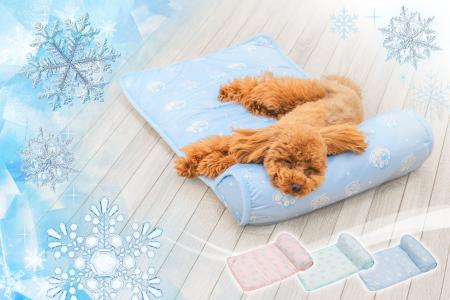 “春でも油断禁物” 犬・猫の暑さ対策に。累計4,000枚突