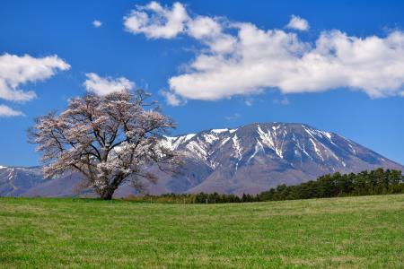 【川崎重工グループ ヘリコプター手配サービス Z-Leg(