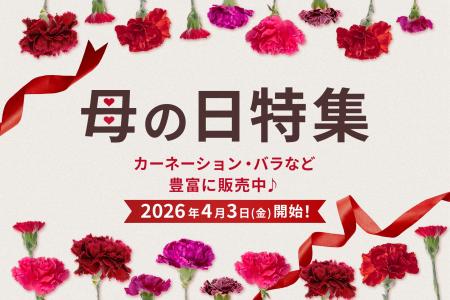 【母の日花材販売開始！】カーネーション・バラなど人