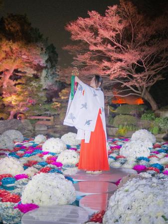 『浮花』-Fuka- 2026.4.1 START