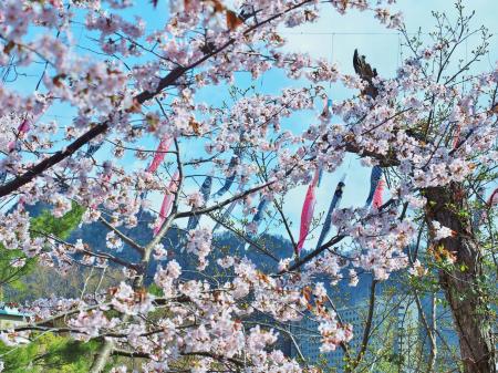 【札幌・定山渓温泉 章月グランドホテル】新プラン。 【札幌・定山渓温泉 章月グランドホテル】新プラン。