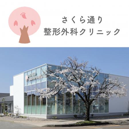 【ふくい桜マラソン2026】SNSで話題の電柱広告180本で