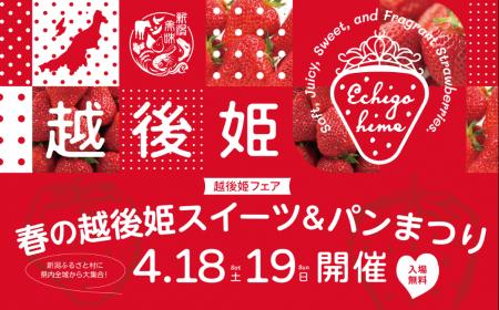 新潟の春がやってきた！「越後姫フェア」今年も開催！