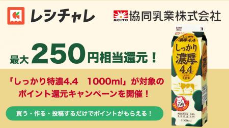 【最大250円相当を還元】いつもの料理がワンランク上 【最大250円相当を還元】いつもの料理がワンランク上