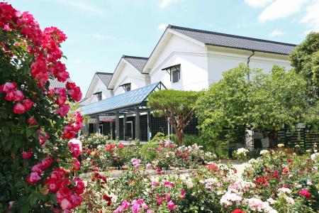 グンゼ博物苑、2025年度の年間入場者数が過去最高の8 グンゼ博物苑、2025年度の年間入場者数が過去最高の8