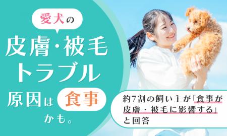 愛犬の皮膚・被毛トラブル、原因は 愛犬の皮膚・被毛トラブル、原因は