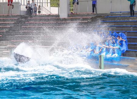 【鴨川シーワールド】日本屈指の激しい入社式！新入社