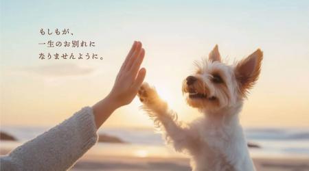 【日本ペット防災協会 設立発表会を開催】※2026年5月2