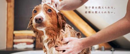 【一般社団法人日本ペット防災協会】ペット防災の社会 【一般社団法人日本ペット防災協会】ペット防災の社会