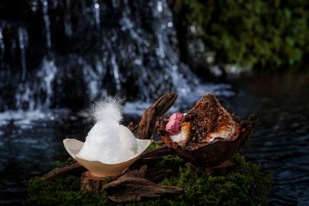 【星のや軽井沢】標高1,000mの避暑地で「森の香りを味 【星のや軽井沢】標高1,000mの避暑地で「森の香りを味