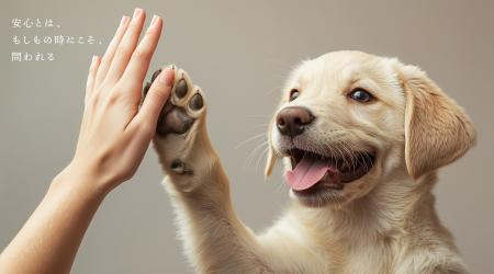 【報道機関受付中／4月末締切】日本ペット防災協会 第