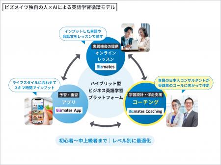 ビズメイツ、AI×人による英語学習サイクルを強化