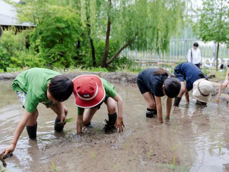 【京都水族館】年間パスポート会員限定の特別プutf-8