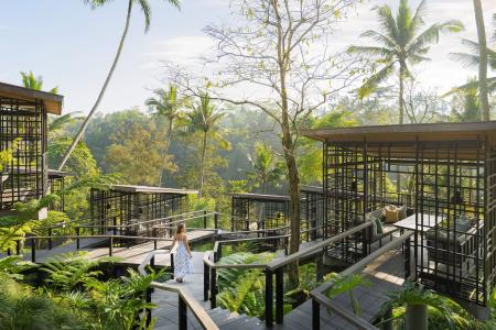 【星のやバリ】乾季のウブドで涼しく過ごす「ウブドの 【星のやバリ】乾季のウブドで涼しく過ごす「ウブドの