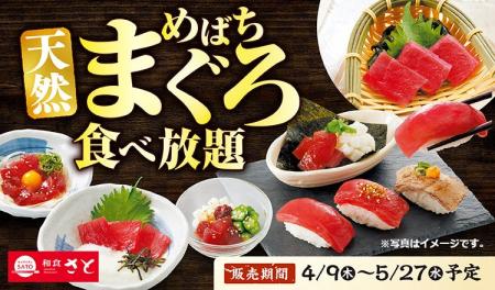 和食さと 「天然めばちまぐろ食べ放題」が4/9(木)から