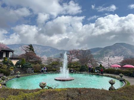 花々が彩る春の箱根強羅公園