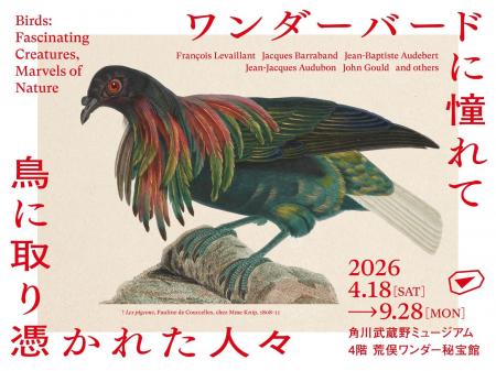 カメラのない時代に、本物を写しとった執念の博物画 カメラのない時代に、本物を写しとった執念の博物画