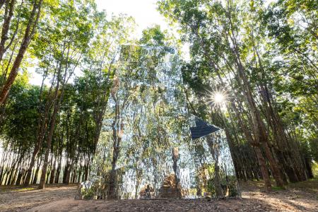 直島新美術館の新展示発表！