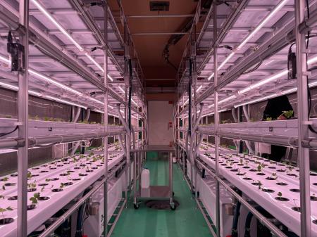 「もやし工場で“わさび”を生産？」食品工場の常識を覆