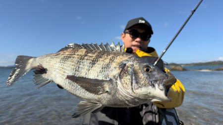 【THEフィッシング】春の海で魅せる爆釣劇！チニング