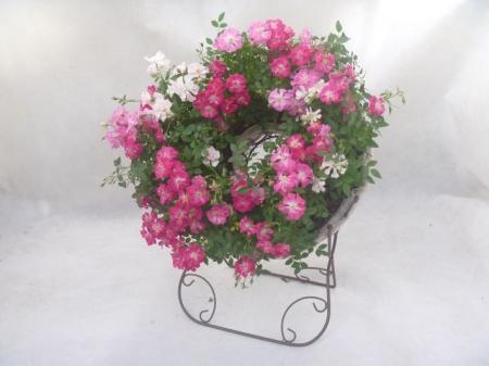 【JAF岐阜】春のJAFデー「ミニバラ寄せ植え体験～ウェ