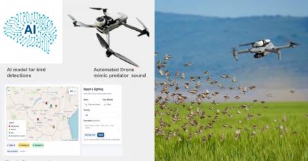 国連開発計画（UNDP）の「Digital X Solution Catalog