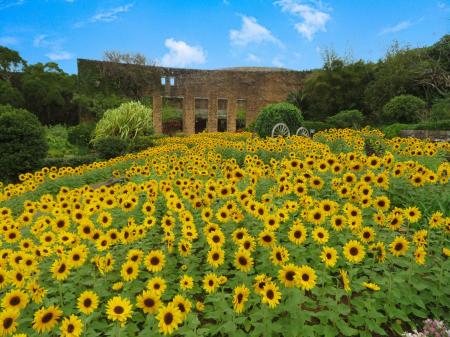 【海洋博公園】～海洋博公園を遊びつくそう！！～「海