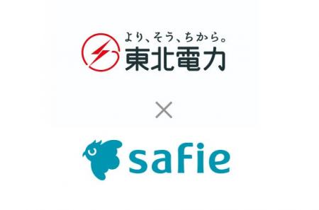 東北電力、200カ所以上の無人水力発電所にセーフィー