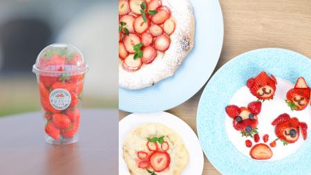 やちまた里山ファーム いちご園 春季限定・1日5組限定 やちまた里山ファーム いちご園 春季限定・1日5組限定