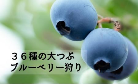 「さがみはらSDGsアワード」と「かながわ脱炭素大賞」