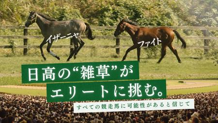 売却白紙になった”ドラマ出演馬”2頭を競走馬デビュー 売却白紙になった”ドラマ出演馬”2頭を競走馬デビュー