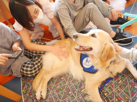 神奈川県立こども医療センターのホスピタル・ファシリ 神奈川県立こども医療センターのホスピタル・ファシリ