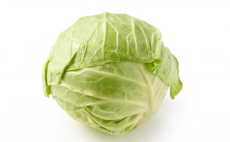 資材調達の変動リスクや環境負荷を考慮、持続可能なサ