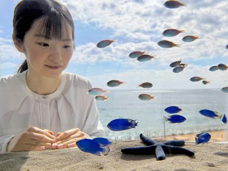 見頃を迎える国営ひたち海浜公園のネモフィラの風景を