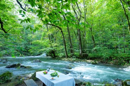 【奥入瀬渓流ホテル】平均気温21℃、森の目覚めとせせ
