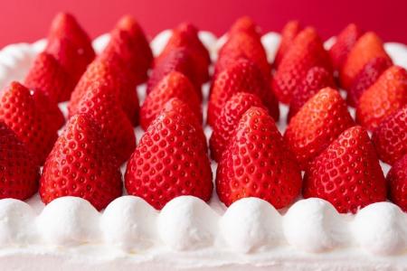 「あまりん」を1.6kgも使う特大ショートケーキは、数