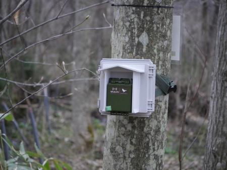 ≪長野県内の自然共生サイトで初めて、同研究に基づく