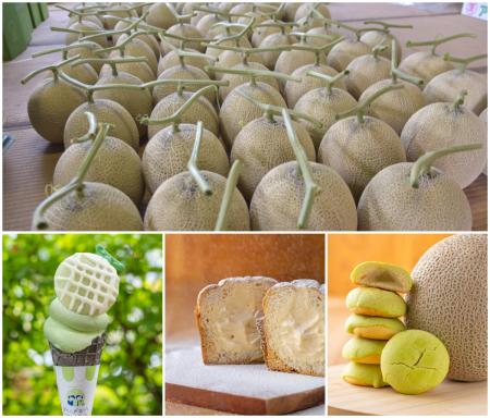 ＜茨城＞日本一のメロン産地から、今年最初のひutf-8