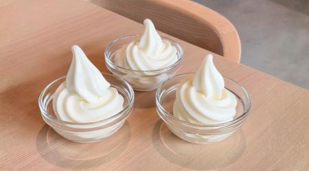 宿泊者限定！ソフトクリーム無料サービス滞在の楽しみ