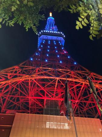 【世界自閉症啓発デー】ライトアップされた東京タワー