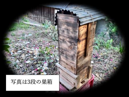 5月2日（土）倉敷市玉島でニホンミツバチを守る巣箱づ