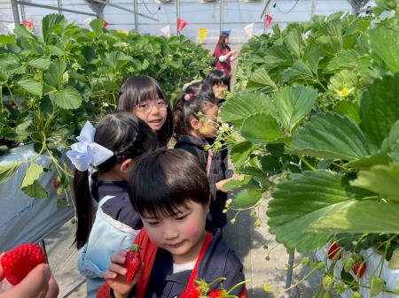 【名古屋】大好きないちごを「あげるね」と分け合う子