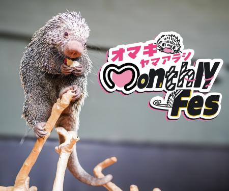 水族館にいる針だらけの動物！？モニっとかわいい魅力