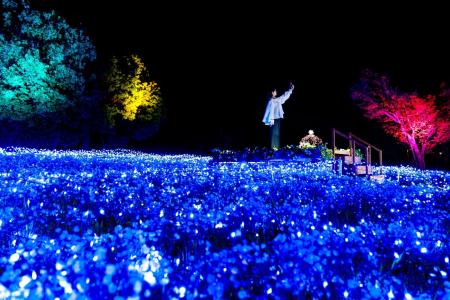【東京・舎人公園】3.5万本のネモフィライベントが本