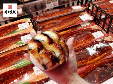 【角上魚類】春も土用の丑の日？夏だけじゃない！新生