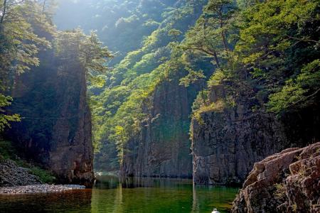 特別名勝「三段峡」に位置する山林の一部(約122ha)を