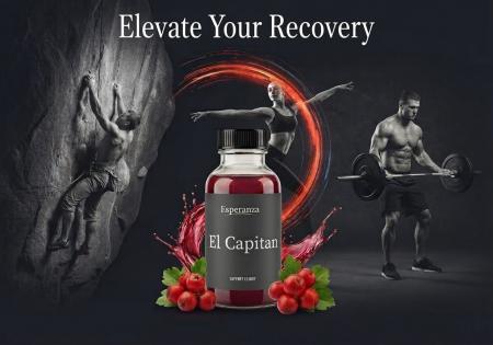 「飲むリカバリー」の最適解。伝統植物の力とクリエイ