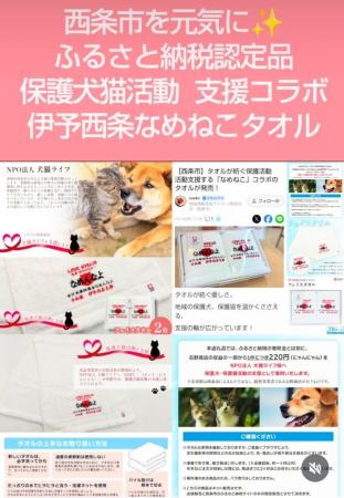 砂を舐めて生き延びた仔猫への「18年越しの恩返し」。