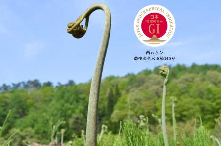 雪解けの恵み、日本初の山菜GI「西わらび」予約受付開